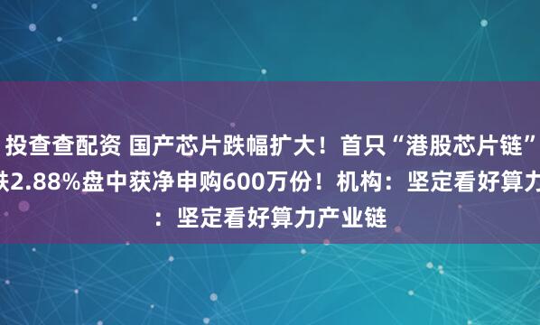 投查查配资 国产芯片跌幅扩大！首只“港股芯片链”ETF大跌2.88%盘中获净申购600万份！机构：坚定看好算力产业链