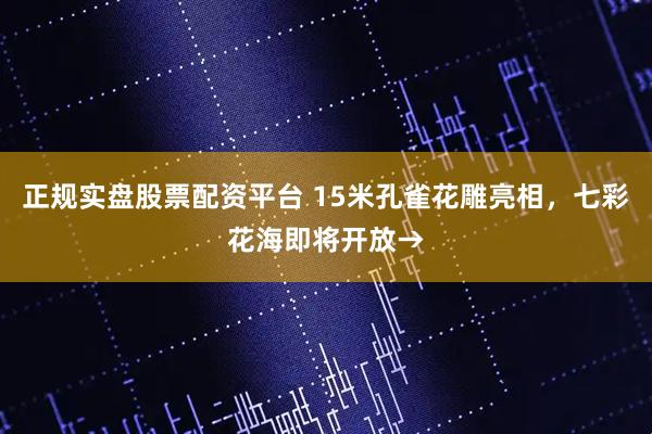 正规实盘股票配资平台 15米孔雀花雕亮相，七彩花海即将开放→