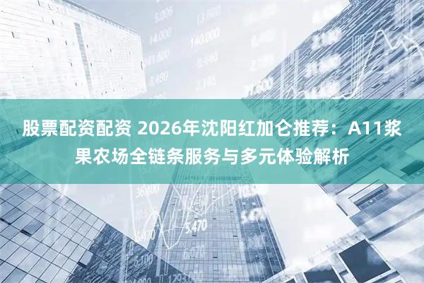 股票配资配资 2026年沈阳红加仑推荐：A11浆果农场全链条服务与多元体验解析